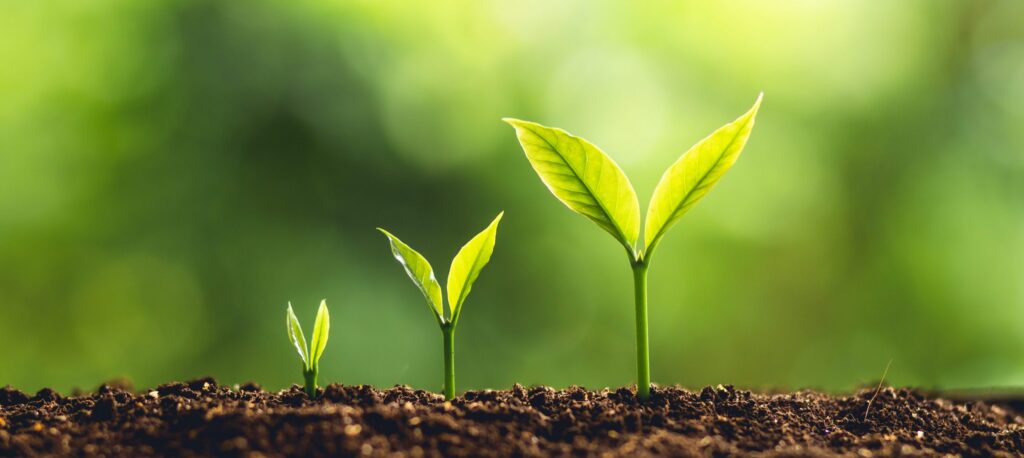 Por que nosso desenvolvimento pessoal depende de ciclos